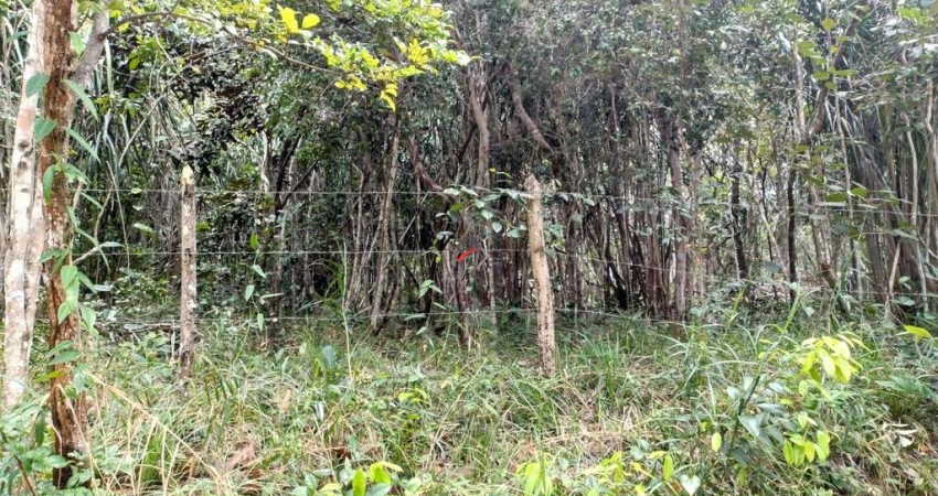 Terreno no loteamento Quintas do Castelo da Torre com viabilidade para  empreendimento imobiliário