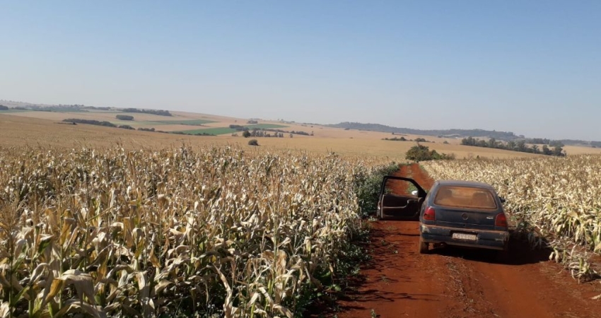Terreno à venda na Avenida Iraí, 0, Água Boa, Paiçandu
