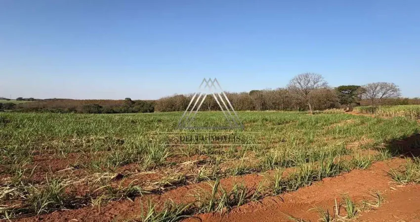 Chácara / sítio com 1 quarto à venda na Rodovia Vicinal João Severo, S/N, Centro, Poloni