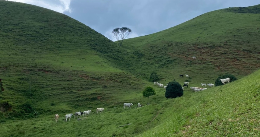 Fazenda à venda na Zona Rural, Bocaina de Minas 