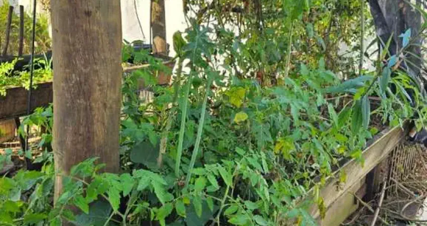 Edícula para venda em caraguatatuba, massagaçu, 1 dormitório, 1 suíte, 1 banheiro