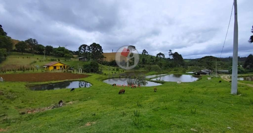 Chácara / sítio com 1 quarto à venda na Zona Rural, Tijucas do Sul 