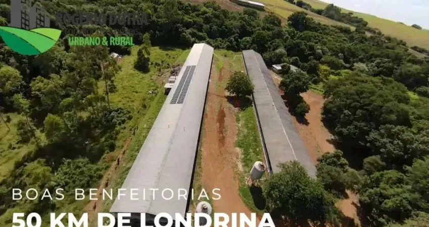 Chácara / sítio à venda na Zona Rural, Tamarana 