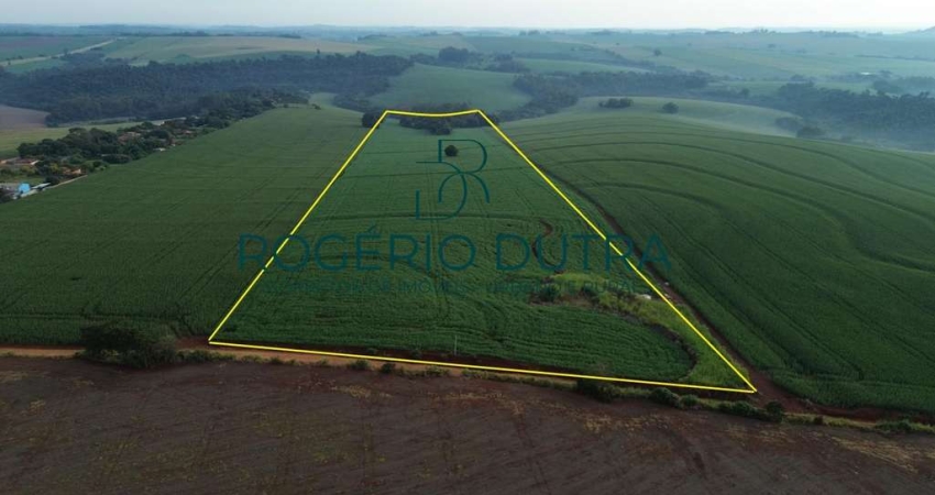 Terreno à venda na Estrada Perobinha, Jardim Primavera, Londrina