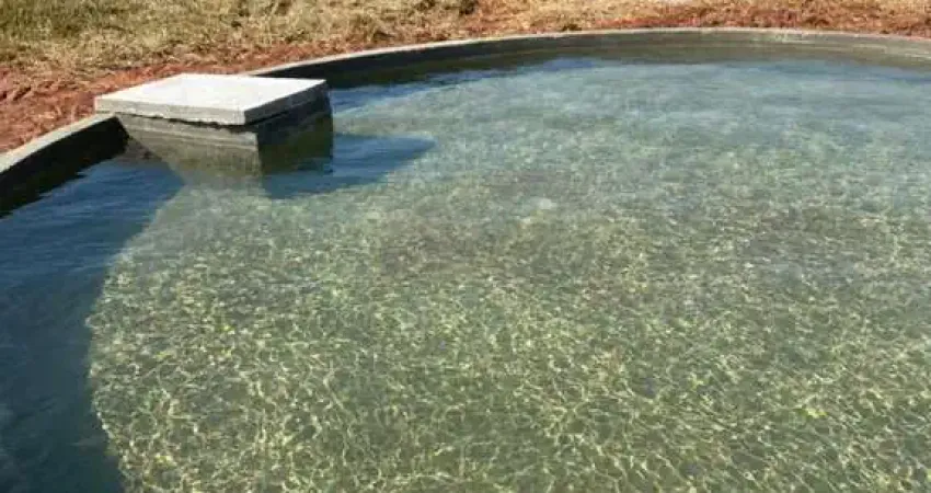 Fazenda à venda na Zona Rural, Iguatemi