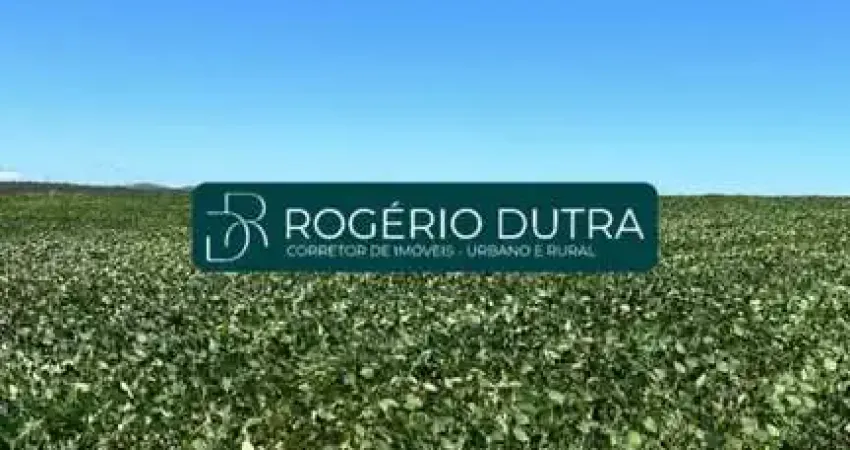 Fazenda a venda em Formoso - GO