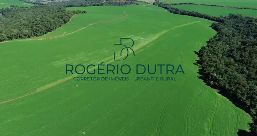 Fazenda a venda em Londrina PR - MAUA DA SERRA PR- FAXINAL - MARILANDIA DO SUL PR