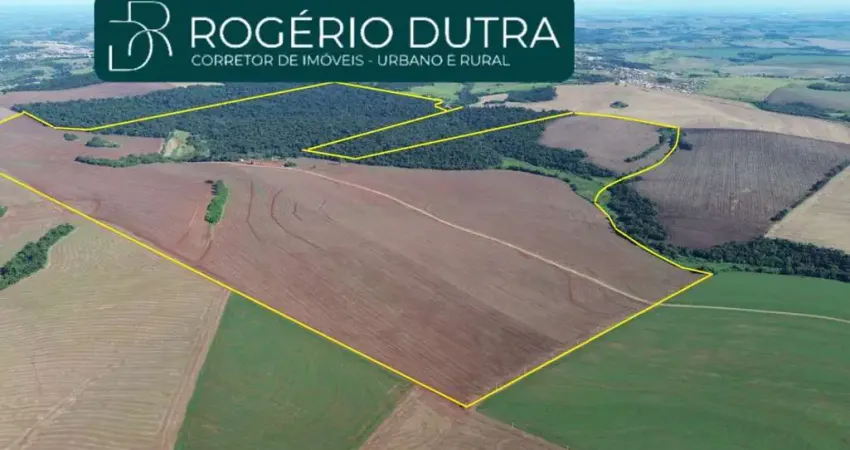 Fazenda à venda na 50 KM DE LONDRINA, Área Rural de Londrina, Londrina
