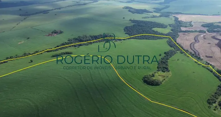 FAZENDA A VENDA 60 KM DE MARINGA PR