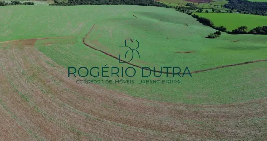Fazenda à venda na Pista duplicada, S/N, Área Rural de Londrina, Londrina