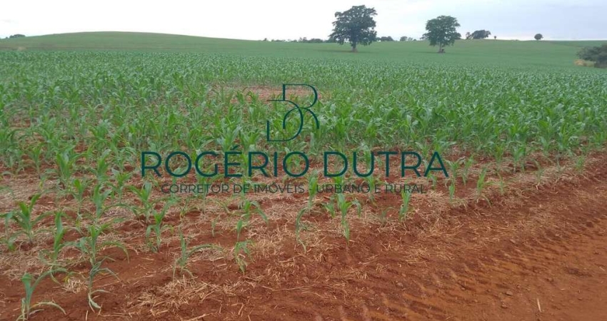 Fazenda à venda na ZONA RURAL, Zona Rural, Sertaneja