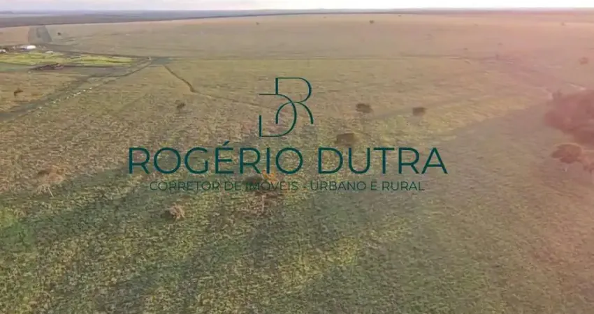 Fazenda à venda na Avenida Higienópolis, Área Rural de Londrina, Londrina