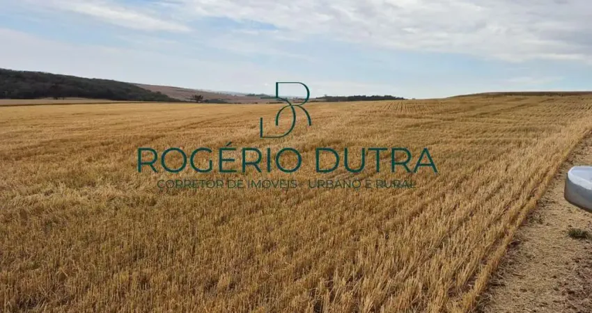 Fazenda à venda na Zona Rural - Londrina - PR, Área Rural de Londrina, Londrina