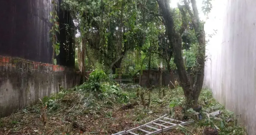 Terreno à venda, 257 m² por R$ 450.000,00 - Rolinópolis - São Paulo/SP
