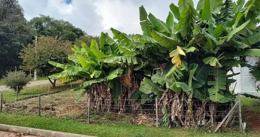 A vantagens de comprar um terreno é de criar o projeto que você quiser.