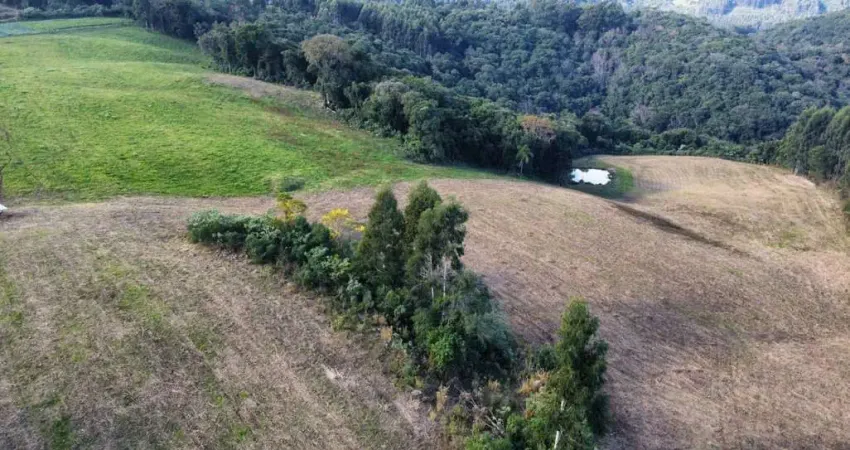 Buscando um lugar para fugir do agito da cidade, para ter paz e tranquilidade