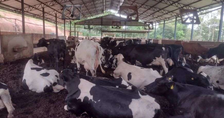 Imóvel para venda tem 510000000 metros quadrados com 4 quartos em Centro - Turvolândia - MG