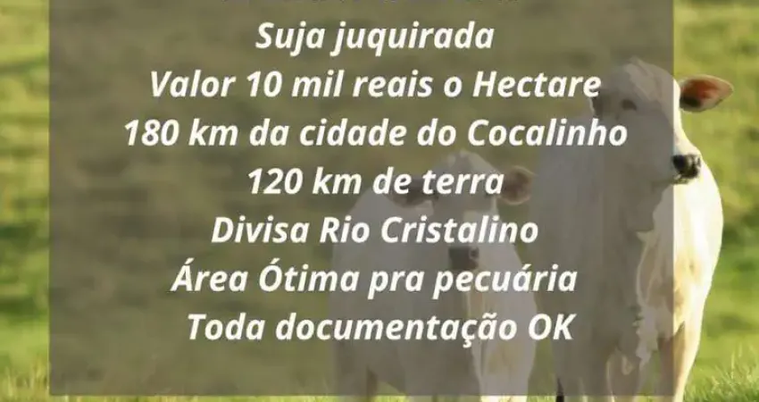 Fazenda à venda na Zona Rural, Cocalinho 