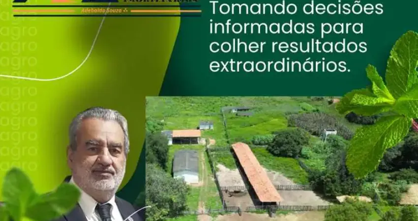 Fazenda à venda na Zona Rural, Nazaré do Piauí 