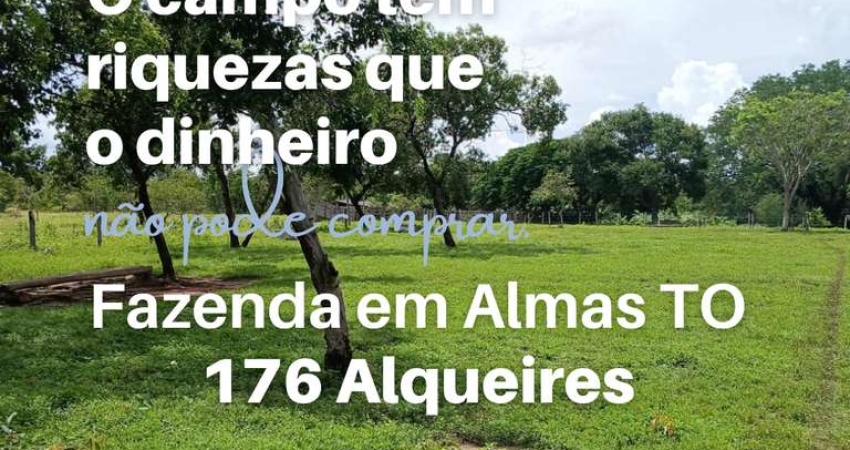 Fazenda para Venda em Almas, Rural