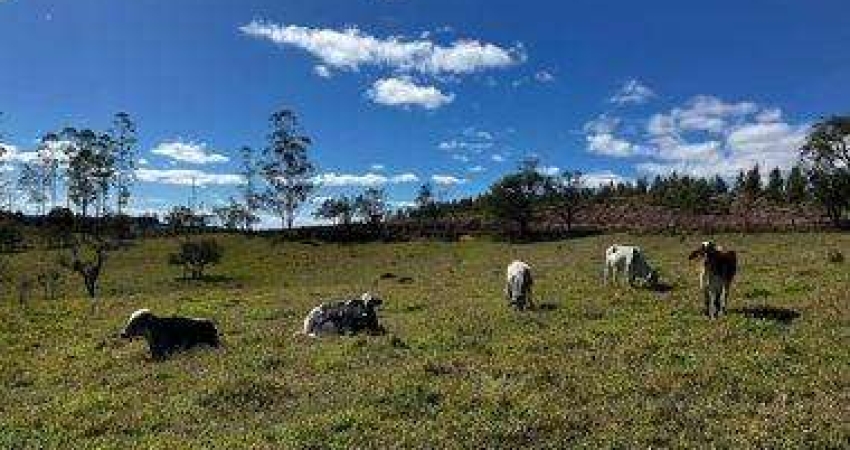 Fazenda à venda na Rural, 300, Campo Grande, Pilar do Sul