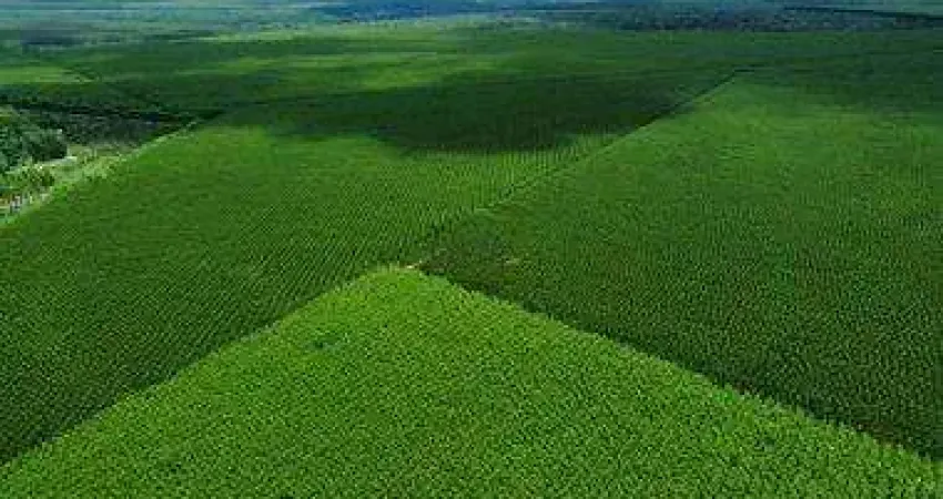 Fazenda à venda no Centro, São João do Paraíso 