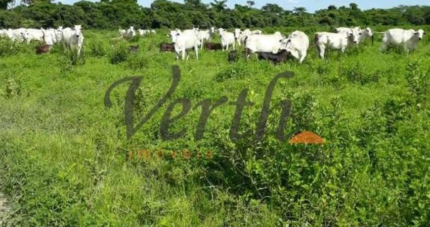 Fazenda à venda na Rural, 12323, Centro, São Romão
