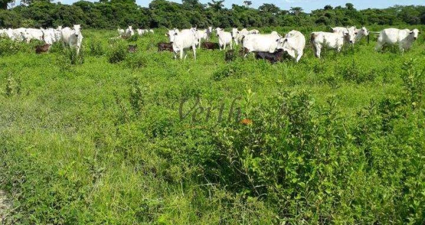 Fazenda à venda no Centro, São Romão 