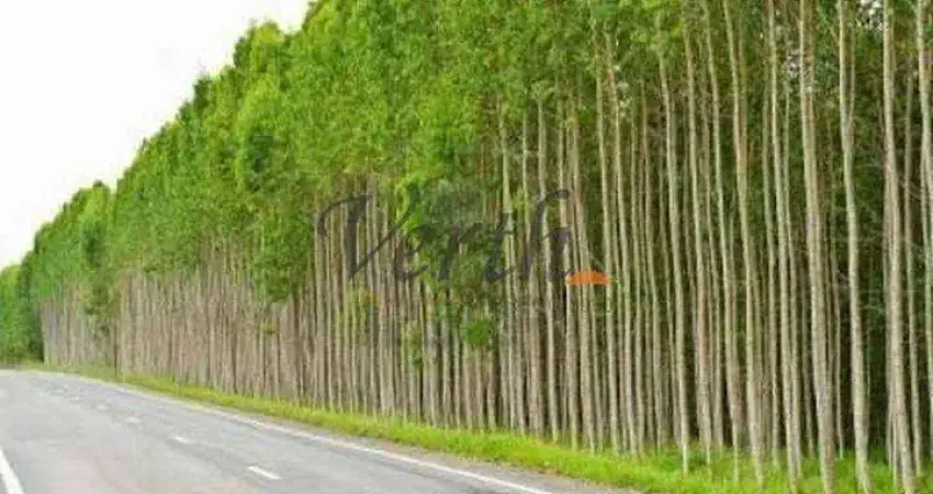 Fazenda à venda na Rural, 1232, Centro, São João do Paraíso