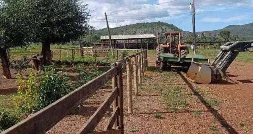 Fazenda à venda na Rural, Sn, Centro, Natalândia