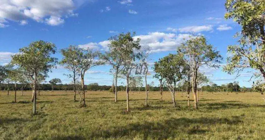 Fazenda à venda na Rural, Sn, Centro, Chapada Gaúcha