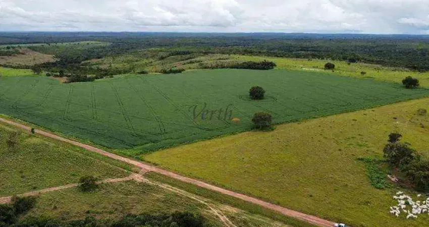 Fazenda à venda na Rural, 12323, Centro, Pilão Arcado