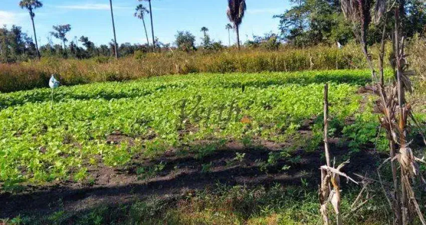Fazenda à venda na Rural, 12323, Centro, Montalvânia
