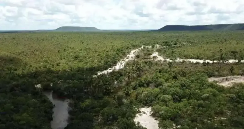 Fazenda à venda na Rural, 12323, Centro, Montalvânia