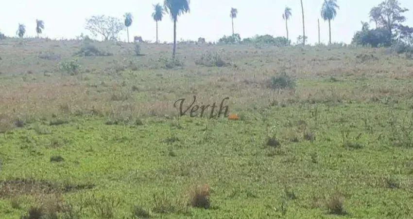 Fazenda à venda na Rua Rui Barbosa, Sn, Centro, Campo Grande