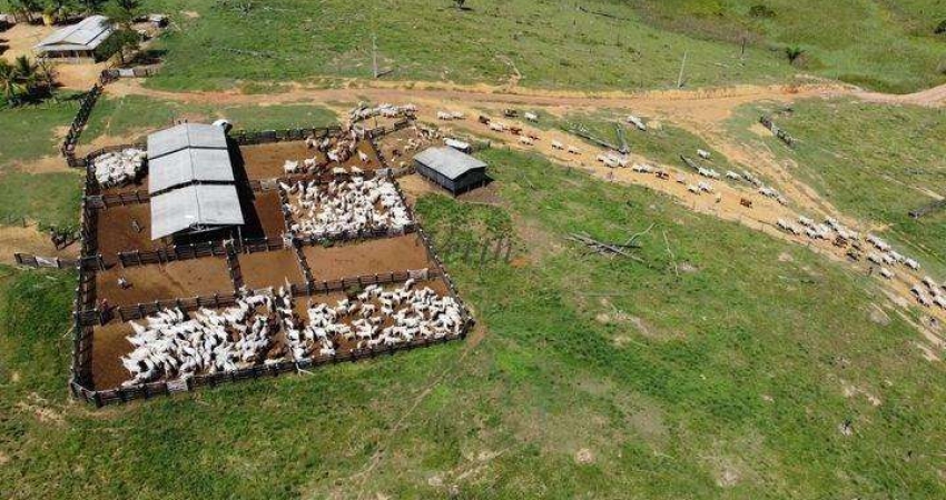 Fazenda à venda na Rural, 12222, Centro, Pacajá