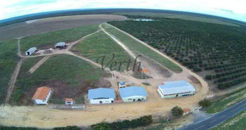 Fazenda à venda na Rural, Sn, Centro, Barra da Estiva