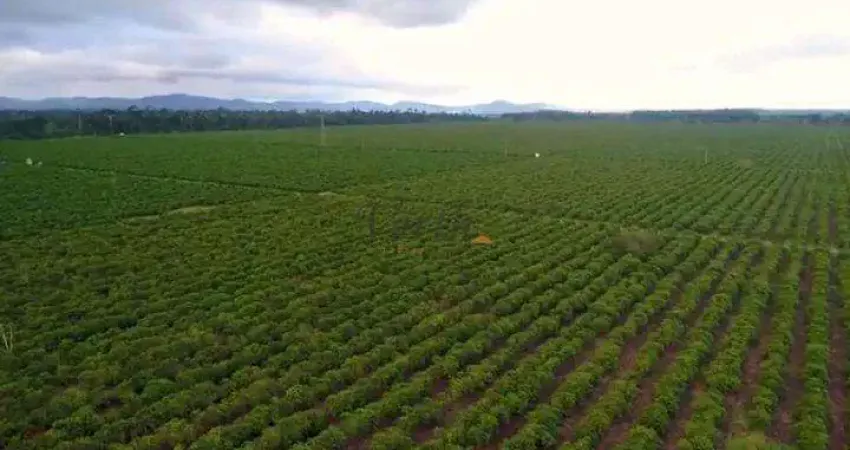 Fazenda à venda na Rural, SN, Centro, Itamaraju