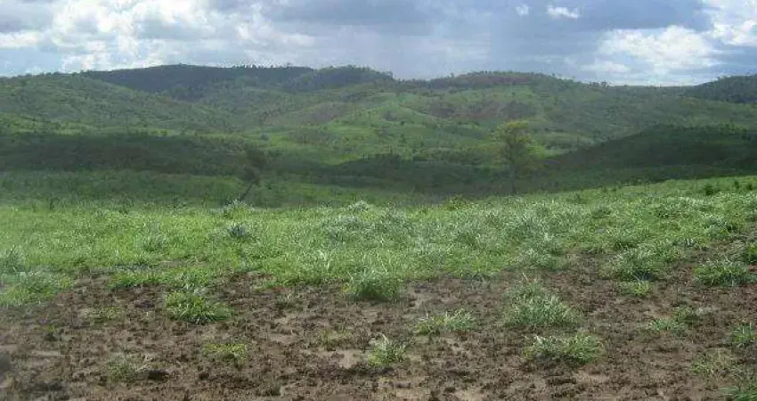 Fazenda à venda na Rio Branco, 3232, Centro, Itapira