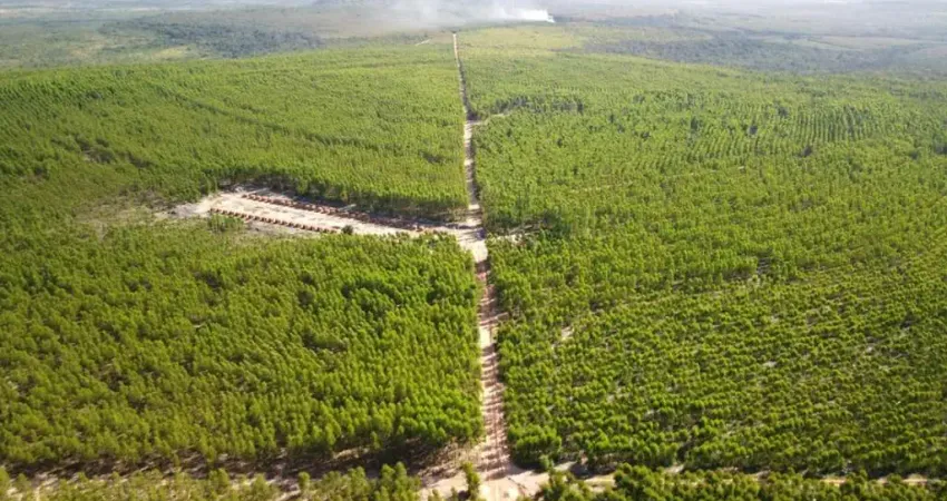 Fazenda à venda na rural, 2323, Centro, João Pinheiro
