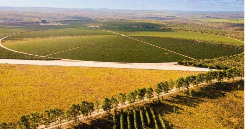 Fazenda à venda na rural, 3434, Centro, Berizal