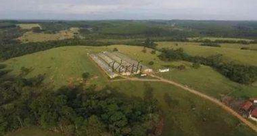 Fazenda à venda na RURAL, 345, Centro, Alambari