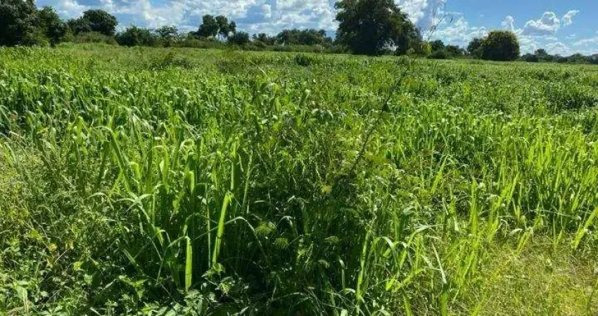 Fazenda à venda no Centro, Januária 