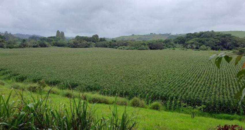 Fazenda à venda no Centro, Juiz de Fora 