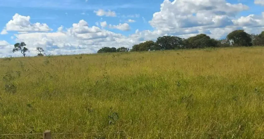 Fazenda à venda na Rural, 1232, Centro, Pintópolis