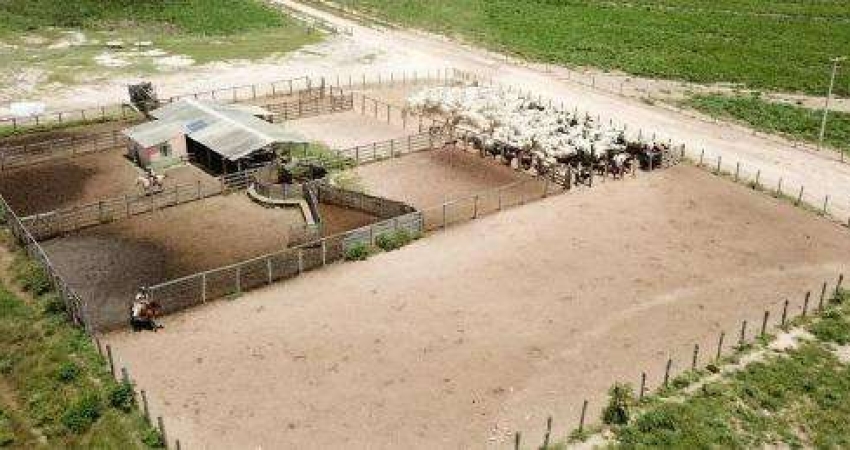 Fazenda à venda na Rural, 1212, Centro, Baianópolis