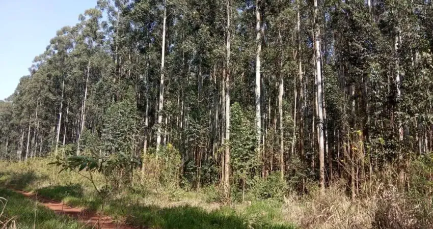 Fazenda à venda na Rural, 1000, Centro, Ribeirão do Pinhal