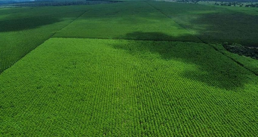 Fazenda à venda na Rural, 1000, Centro, Jacupiranga