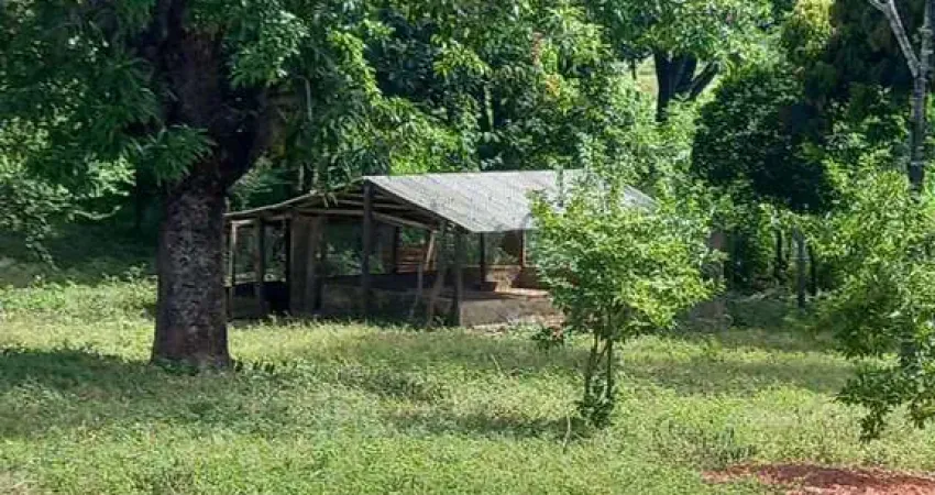 Fazenda à venda na Rural, 100, Centro, Pintópolis