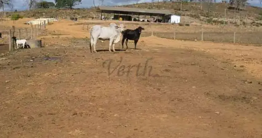 Fazenda à venda no Centro, Belo Horizonte 